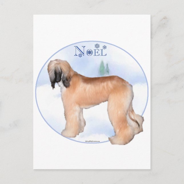 Afghan Hound Weihnachten (Vorderseite)