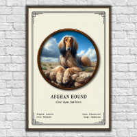 Afghan Hound Zoologie-Serie