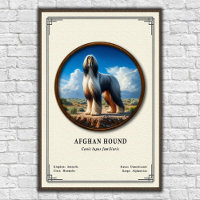 Afghan Hound Zoologie-Serie