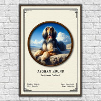 Afghan Hound Zoologie-Serie