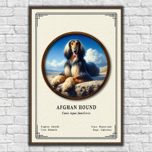 Afghan Hound Zoologie-Serie Poster