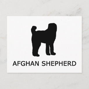 afghan shepherd silo w name postkarte