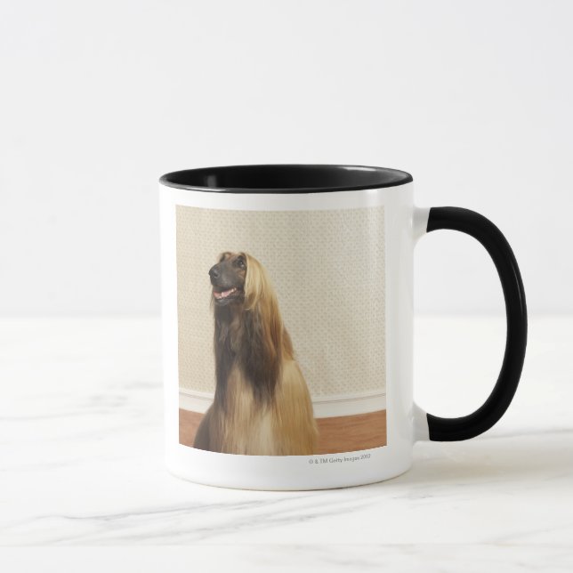 Afghane, der in Raum 2 sitzt Tasse (Rechts)