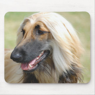 Afghane HoundPuppy Hund Mousepad