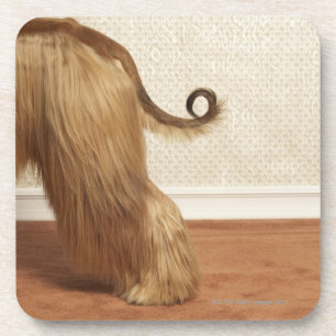 Afghane stehend im Raum, Endenabschnitt Untersetzer