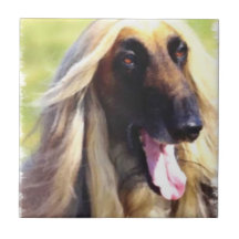 Afghanische Hound Art
