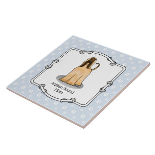Afghanische Hunde-Mama Afghanische Mama (fawn) Nie Fliese