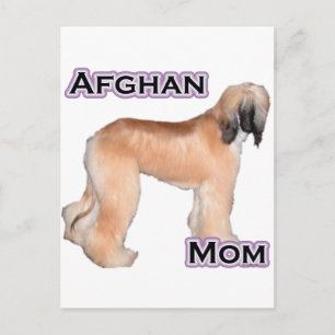 Afghanische Mama 4 Postkarte