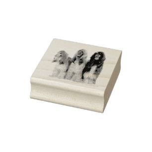 Afghanische Windhunde Gummistempel