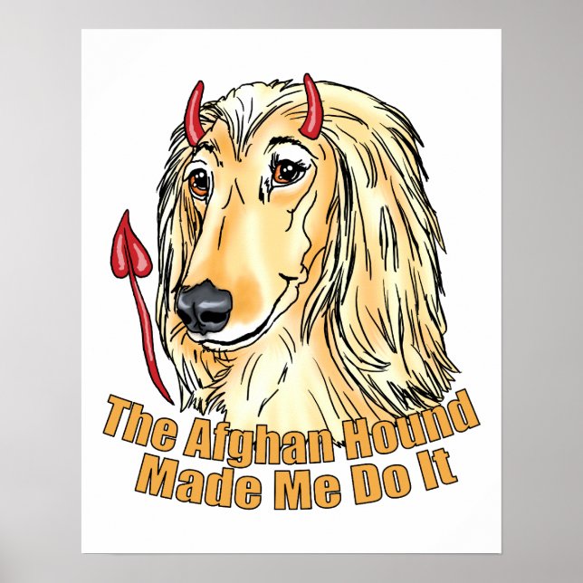 Afghanischer Hund hat mich dazu gebracht, es zu tu Poster (Vorne)