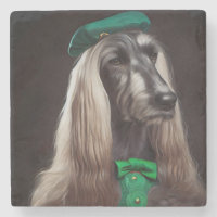 afghanischer Hund in St. Patrick's Day Dress
