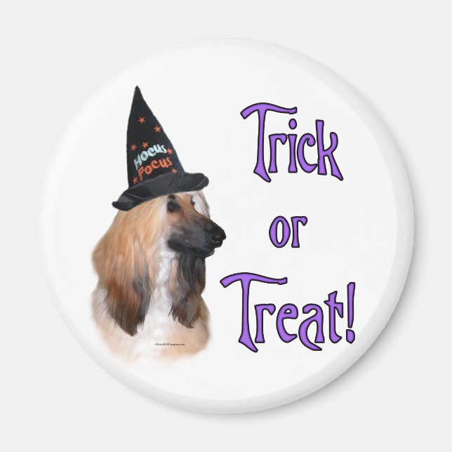 Afghanischer Trick Magnet (Vorne)