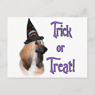 Afghanischer Trick Postkarte