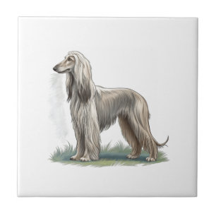 Afghanischer Windhund Fliese