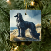 Afghanischer Windhund