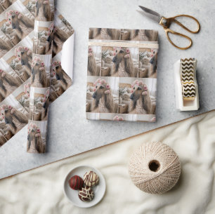 Afghanischer Windhund mit rosa Lockenwicklern Geschenkpapier