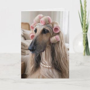 Afghanischer Windhund mit rosa Lockenwicklern Karte