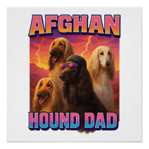 Afghanischer Windhund Poster
