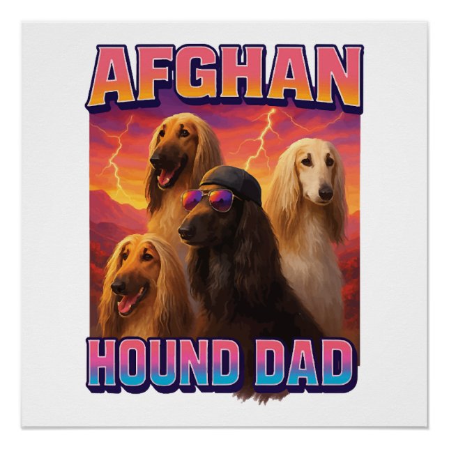 Afghanischer Windhund Poster (Vorderseite)