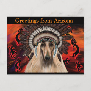 Afghanischer Windhund Postkarte