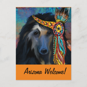 Afghanischer Windhund Postkarte