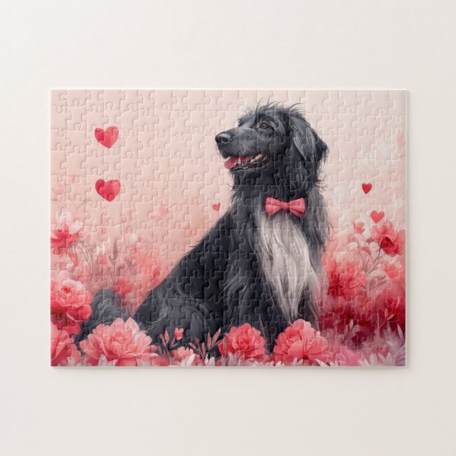 Afghanisches Hund mit Rose - Valentinstag (Horizontal)