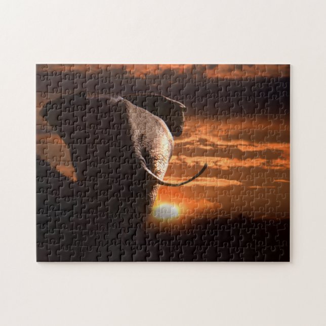 Africa Bull Elephant in the Setting Sun. (Horizontal)