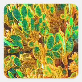 Africa Desert Cactus Pflanze Prickly Pear Quadratischer Aufkleber