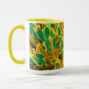 Africa Desert Cactus Pflanze Prickly Pear Tasse