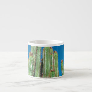 Africa Desert Landscape Nature Cactus Pflanze Espressotasse