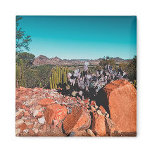 Africa Desert Landscape Nature Cactus Pflanze