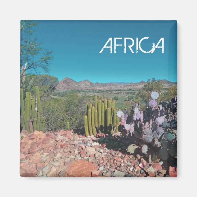 Africa Desert Landscape Nature Cactus Pflanze Magnet (Vorne)