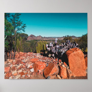 Africa Desert Landscape Nature Cactus Pflanze Post Poster