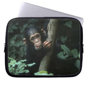 Africa, East Africa, Tansania, Gombe National Laptopschutzhülle
