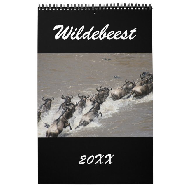 Africa Kalender (Titelbild)