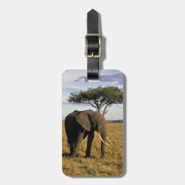 Africa, Kenia, Maasai Mara. An elehpant Gepäckanhänger (Vorderseite vertikal)