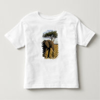 Africa, Kenia, Maasai Mara. An elehpant