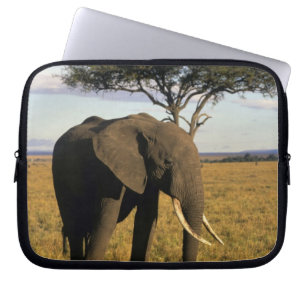 Africa, Kenia, Maasai Mara. An elehpant Laptopschutzhülle