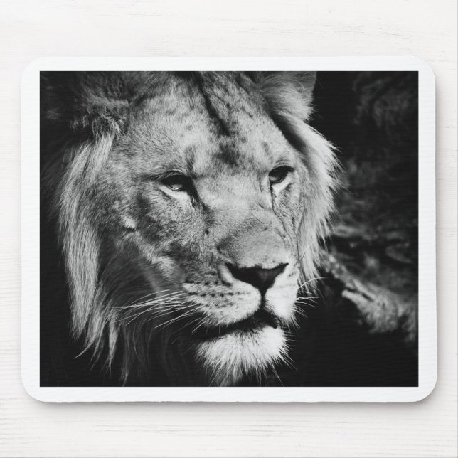Africa-Löwe-Makro Mousepad (Vorne)