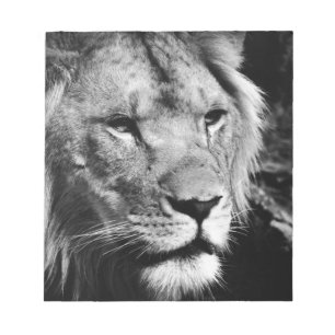 Africa-Löwe-Makro Notizblock