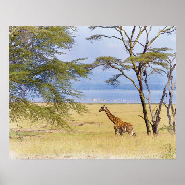 Africa Safari Giraffe Watercolor Painting Poster (Vorne)