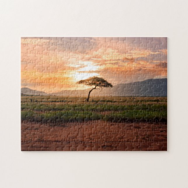 Africa Safari Savannah Wüste Field Tree Sunset (Horizontal)