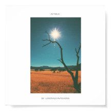 Africa Savannah Grass Tree View Panorama Poster