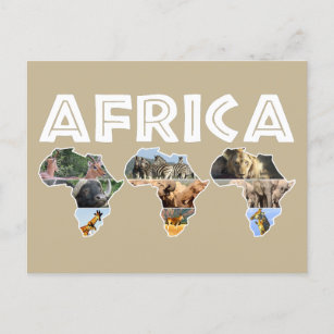 Africa Wildlife Continent Trio Collage Feiertagspostkarte