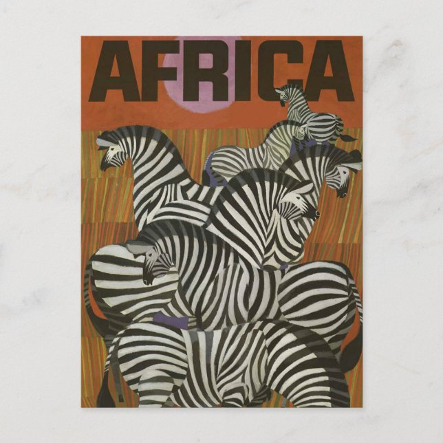 Africa Zebra Vintage Travel Postcard Postkarte (Vorderseite)