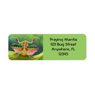 Africain priant Mantis Étiquette