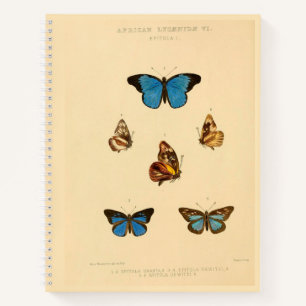 African Butterfly Hardcover Spiral Sketchbook Notizbuch