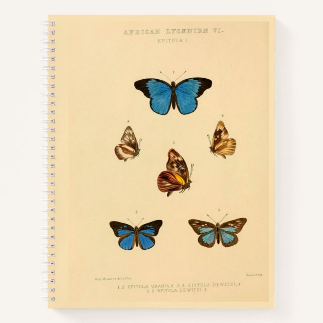 African Butterfly Hardcover Spiral Sketchbook Notizbuch (Vorderseite)