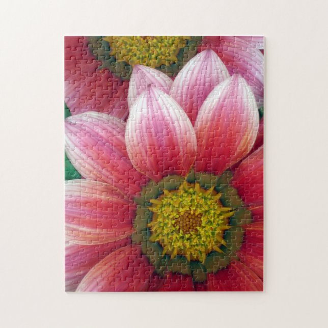African Daisies (Vertikal)