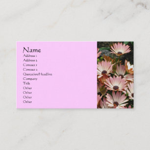 African Daisies Flower Fotografy Business Card Visitenkarte